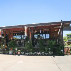 Amador Flower Farm - Jackson