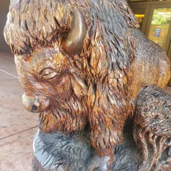 Jackson Rancheria Casino Resort - Jackson