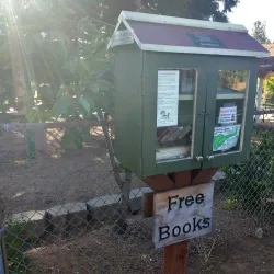 Pine Grove Park - Jackson