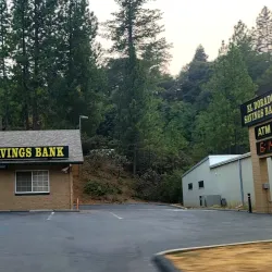 Pine Grove Park - Jackson