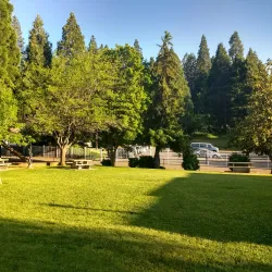 Pine Grove Park - Jackson