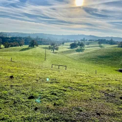 Sutter Creek - Jackson