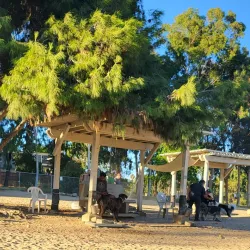 Harry Griffen Park - La Mesa