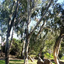 Harry Griffen Park - La Mesa