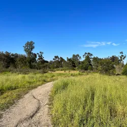 Harry Griffen Park - La Mesa
