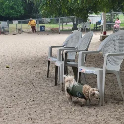 Harry Griffen Park - La Mesa