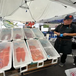 La Mesa Farmers Market - La Mesa