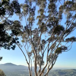 Mount Helix Park - La Mesa