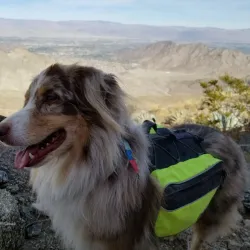 Bear Creek Trail - La Quinta