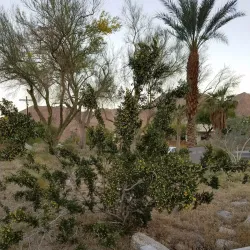 Bear Creek Trail - La Quinta