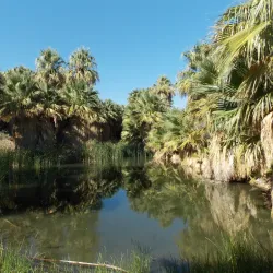 Indio Hills Palms Park - La Quinta