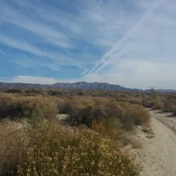 Indio Hills Palms Park - La Quinta