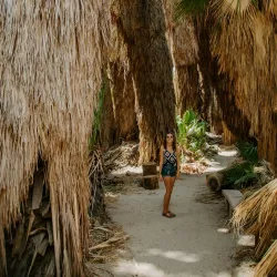 Indio Hills Palms Park - La Quinta