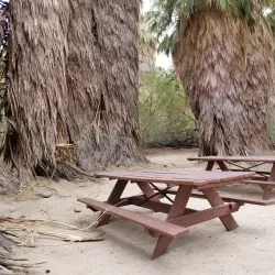 Indio Hills Palms Park - La Quinta