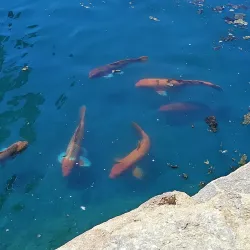 La Quinta Civic Center Park - La Quinta