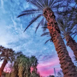 La Quinta Civic Center Park - La Quinta