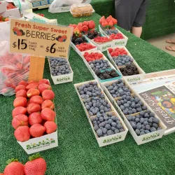 La Quinta Farmers Market - La Quinta