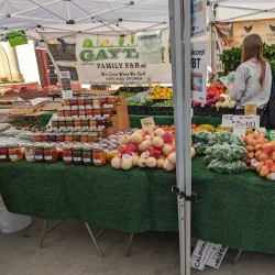 Old Town La Quinta - La Quinta