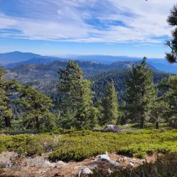 The Santa Rosa and San Jacinto Mountains National Monument - La Quinta