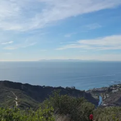 Aliso and Wood Canyons Wilderness Park - Laguna Niguel