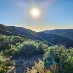 Aliso and Wood Canyons Wilderness Park - Laguna Niguel