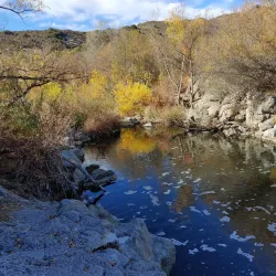 Aliso and Wood Canyons Wilderness Park - Laguna Niguel