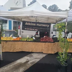 Laguna Niguel Farmers Market - Laguna Niguel