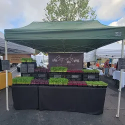 Laguna Niguel Farmers Market - Laguna Niguel