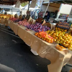 Laguna Niguel Farmers Market - Laguna Niguel