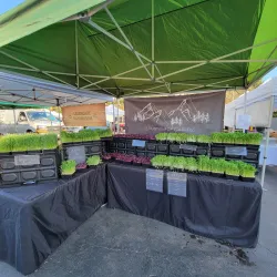 Laguna Niguel Farmers Market - Laguna Niguel