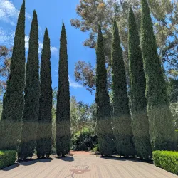 Niguel Botanical Preserve - Laguna Niguel