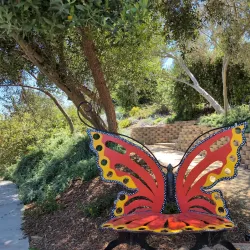 Niguel Botanical Preserve - Laguna Niguel