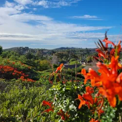 Niguel Hills Trail - Laguna Niguel