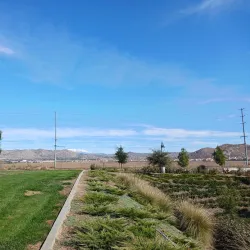 Heritage Park - Lake Elsinore