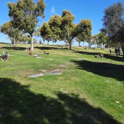 El Toro Memorial Park - Lake Forest