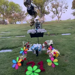 El Toro Memorial Park - Lake Forest