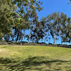 Lake Forest Golf and Practice Center - Lake Forest