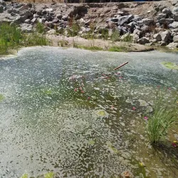 Lake Forest Golf and Practice Center - Lake Forest