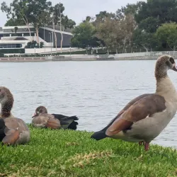 North Lake Park - Lake Forest