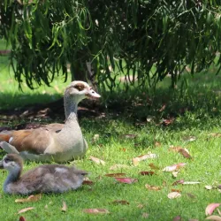 North Lake Park - Lake Forest