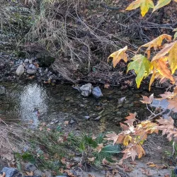 Serrano Creek Trail - Lake Forest