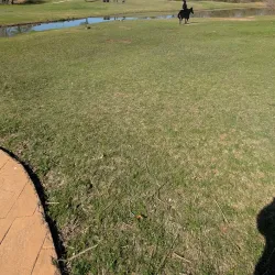 Whispering Lakes Park - Lake Forest