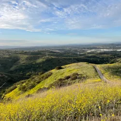 Whiting Ranch Wilderness Park - Lake Forest