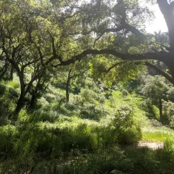 Whiting Ranch Wilderness Park - Lake Forest