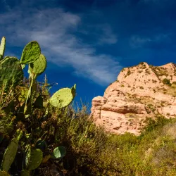 Whiting Ranch Wilderness Park - Lake Forest