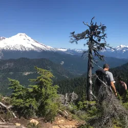 Blue Lakes Trail - Lakeport