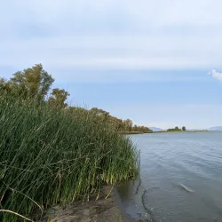 Clear Lake State Park - Lakeport