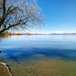 Clear Lake State Park - Lakeport
