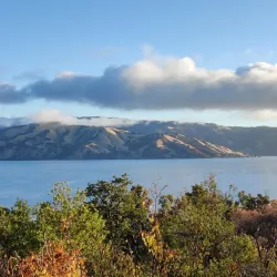 Clear Lake State Park - Lakeport