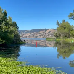 Clear Lake State Park - Lakeport